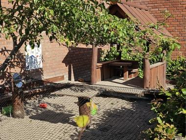 sandkasse i det lille akvarie